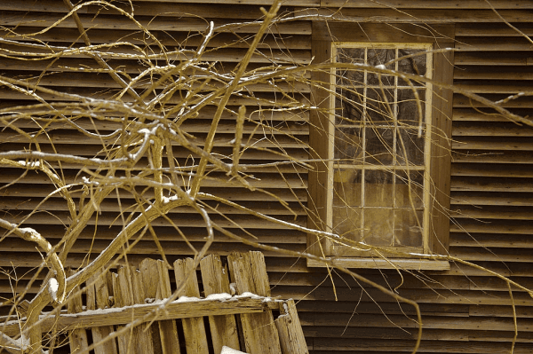Wood siding is the Best Options